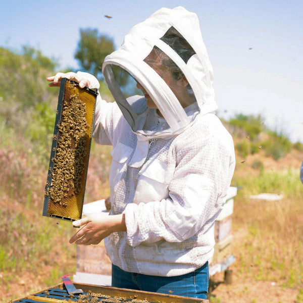 Intro to Beekeeping