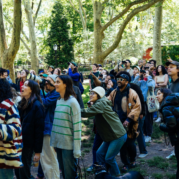 Brooklyn Birdwatching Hike