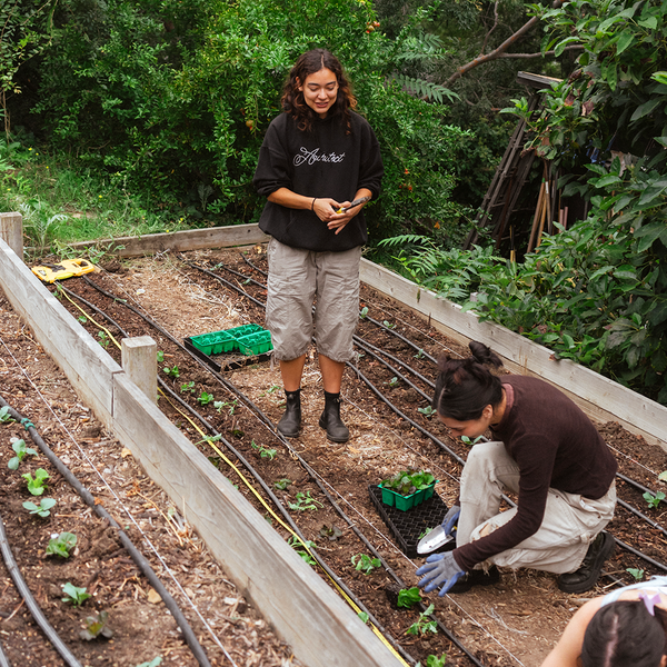 Gardening Practices & Techniques